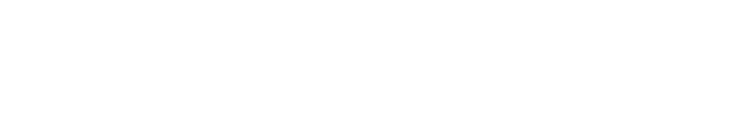 Flow4grow Logo white